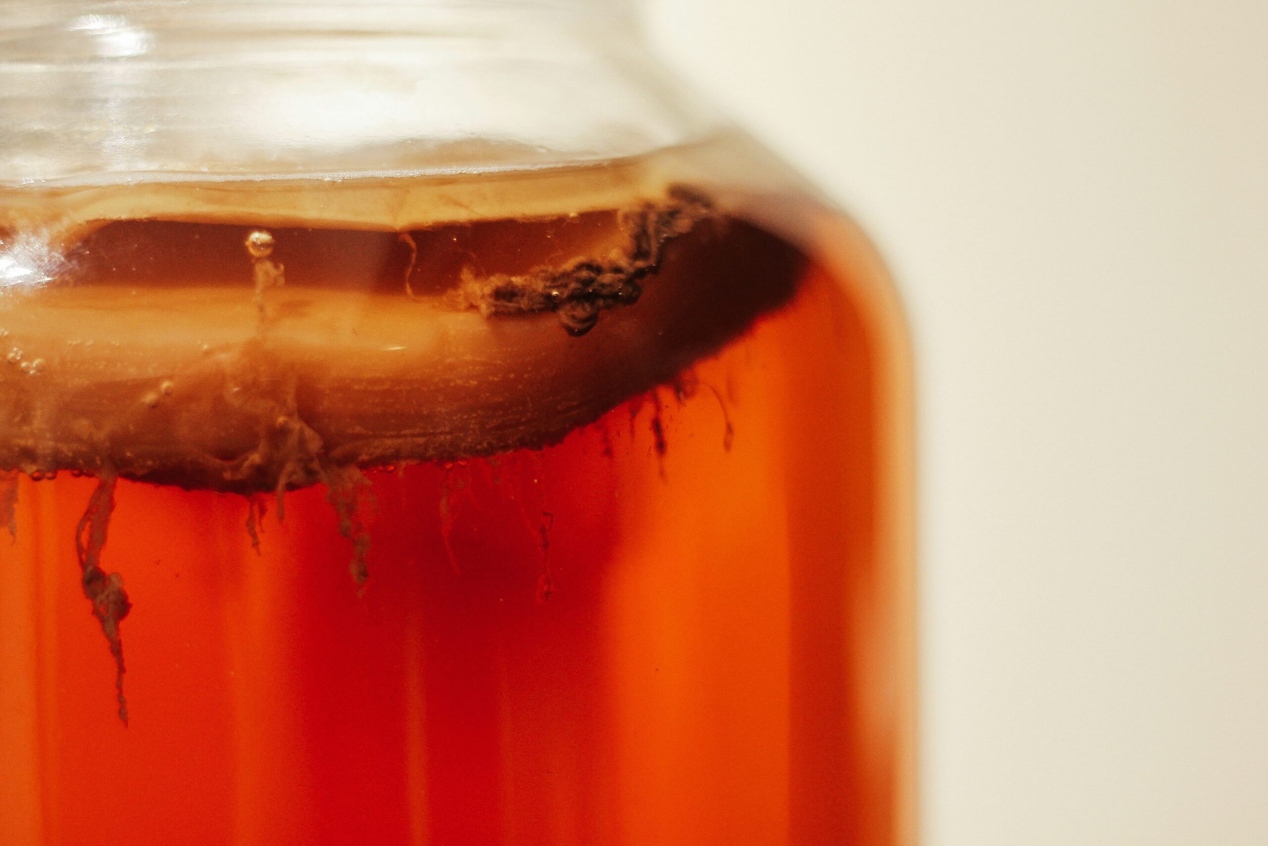 Kombucha in India: The Rising Trend of This Healthy Probiotic Drink